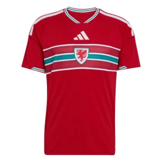 Wales Hemmatröja VM 2026 Herr Kortärmad Fotbollströja
